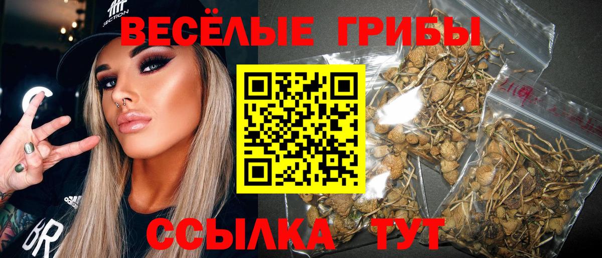 Галлюциногенные грибы MAGIC MUSHROOMS Славянск-на-Кубани