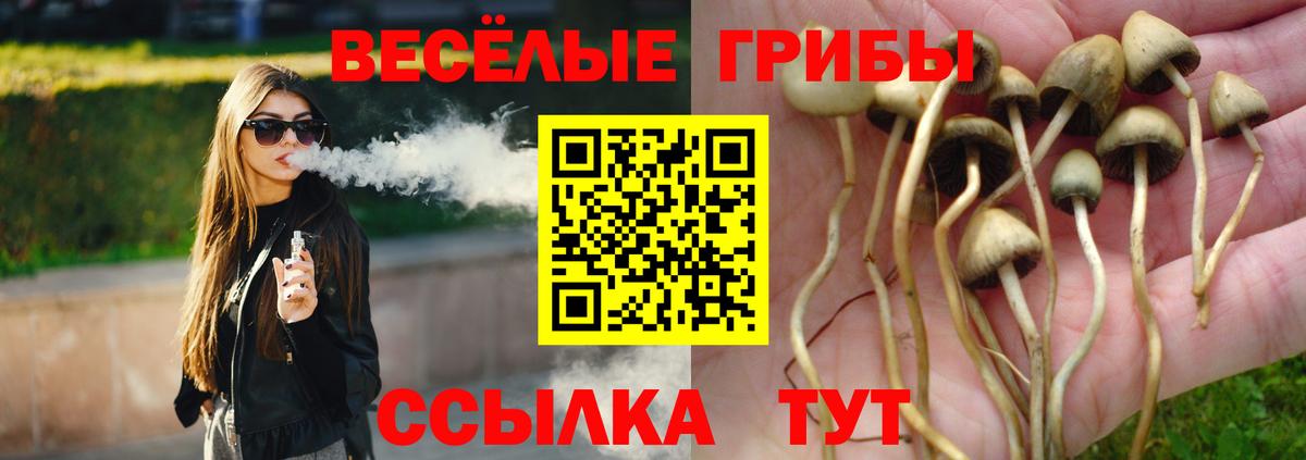 Псилоцибиновые грибы GOLDEN TEACHER  Вход с VPN  Славянск-на-Кубани  Псилоцибиновые грибы Psilocybine cubensis 